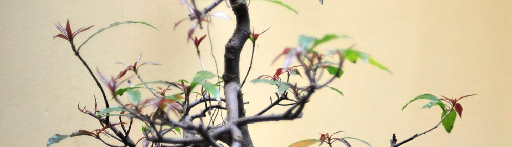 The Old Tube Radio Archives